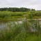 7b6-p1ci97fnk84eog1k1cu1i901j8s7.jpg