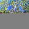 a06-p1cg8l5jb016in4s911bdr4o14365.jpg