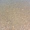 d8d-p1ch2s54f6koaff5e281k859rk4.jpg