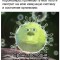 0cc-p1e4b2a5761qe618csequff51icb4.jpg