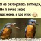 184-p1f5q7vs9u1oo51kuq16pm189qsrt4.jpg