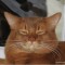 2c4-p1g224orpijde1hkt109lknt14gb4.jpeg