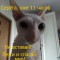 3f8-p1e4atkjvjia110evi61mr41p894.jpeg