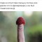 526-p1ds2i1dl3d8ldti1tjkfmv1o1e4.jpg
