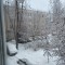 535-p1fvpicnqe1kbo8pe8vr1a971qs95.jpeg