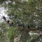 90b-p1fvt2u2anhf61ach1ui3mt1d854.jpeg