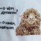 97c-p1gc1shhn91mc01gktdch1fse1i014.jpeg