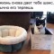 c2f-p1f5snka1vl4h1c3q3cv1f2smva4.jpg
