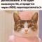 e6e-p1epr3bi5ijmt1ivp1fcr1nd6n9u4.jpg