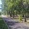 221-p1cl8lp0jf79j13b21pv711cp1u8db.jpg