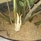 35d-p1ck7lki7e15sm9f41cstfak9635.jpg