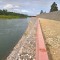 e65-p1ckf3752319rs12d19q2u4chr4.jpg