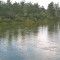 ef2-p1cjqa4226iajn8f1kmt107h11ia5.jpg