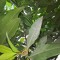 ee0-p1cne1l42u1r4k1p1j1ojdu74ijo4.jpg