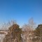 74a-p1d1t5ue6c1c921cks8nv15g81cbh4.jpg