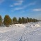 adc-p1d1odrmca1ntifcov0617eu1dho7.jpg