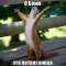 d1b-p1d6es1tq7cd1pfm182817ns9g34.jpeg