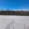 0e2-p1d4if1gmb2gc1r618okh049sh5.jpg