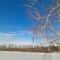 0e2-p1d4if1gme160o3dp1ib85jgh9td.jpg