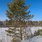 12e-p1d484f94p1sq81hsnopl10mij2hb.jpg