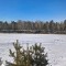 12e-p1d484f94pf6f1dbr1t701vh57pfd.jpg