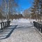 8c3-p1d4ifplna12qg13h9nnn1pfp1ddk7.jpg