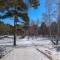 8c3-p1d4ifplnabbdoou16g7lp916778.jpg