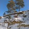 98a-p1d48568spqt21mrlo85kq6ajrd.jpg