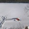 a2b-p1d485a6tf8u11vnt12r2401oo96.jpg