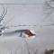 c8d-p1d4if5rsk1dh1sj61ofb1u2n16jo5.jpg