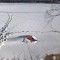 c8d-p1d4if5rsk1r3j1urkk39u2s102p4.jpg