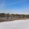 c9b-p1d4pr9q1po6815cm14bf1sh712h4b.jpg