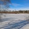 d6d-p1d4ietih61p901542n9uk6b4s84.jpg