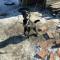 6da-p1d4fu6qpb6k9n1bqt51urf1k1t5.jpg