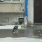 872-p1d5di2i8ccun10sqpv71aok7ji4.jpg