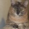 e95-p1d4enala6mov8mlu221qg01fsh6.jpg