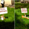 1d7-p1dccegd5vej119u1o0jbob18nq4.png