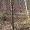 2e9-p1dbpi7i83bg31rb76mt4uflb85.jpg