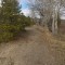 701-p1d970e87ql2abolc87cc6pcq4.jpg
