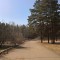 7dc-p1d7bqj067b0c12jri9g151011tn4.jpg