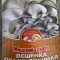 9d5-p1d71iqoj8c7078212c24su1snq4.jpg