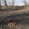e87-p1d7gtalr81v781na8r2762sm254.jpg