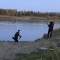 bfa-p1dla08cri115lu10udq1tlc1h9c4.jpeg