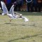 062-p1g7p4ermh1sa314tkd4uvt4e4bd.jpeg