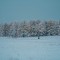 165-p1fgh267dr1os51as411o15hc1nd.jpg