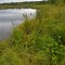 116-p1dje0l0tad8s1a481cbe1m42h075.jpg