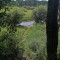 37f-p1dgp2b8ht1arh1e041as4u9u8t87.jpg