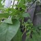 4eb-p1di2eraur38r5t61a5sq2bt6k8.jpg