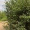 569-p1dg7e57iicmn7uc1nrbq8211i47.jpg