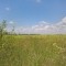 85f-p1dg7fq0641tt54lu1rspil61rbq5.jpg